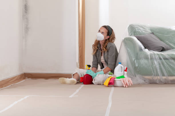 Reliable Mold Cleanup contractor in Clementon, NJ by Cheap Mold Removal